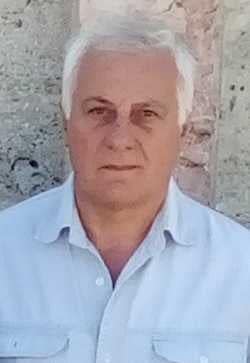 Радивоје Папић, музејски саветник