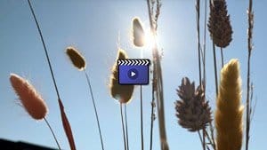 Мајка Мара – Ниси ту