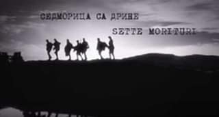 Седморица са Дрине