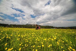Уље дивљег оригана за ваше добро зравље