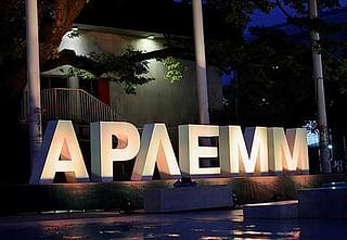 Виолиниста Немања Радуловић отвара АРЛЕММ у Ариљу 15. јула