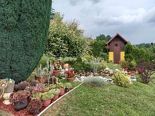 Конкурс за избор најлепшег дворишта