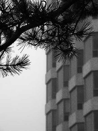 Стан на Златибору за леп и здрав живот