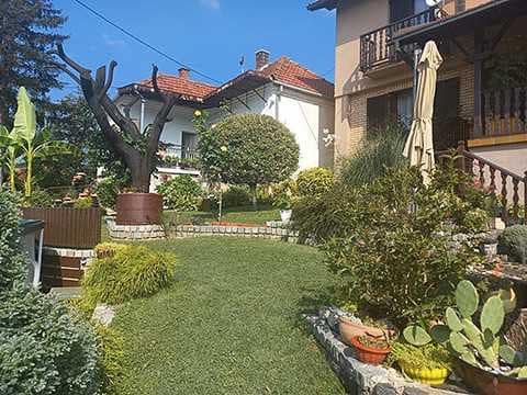 Драган Радивојевић из Севојна власник најлепшег дворишта