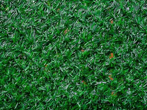 Како уредити двориште да буде најлепши део вашег дома