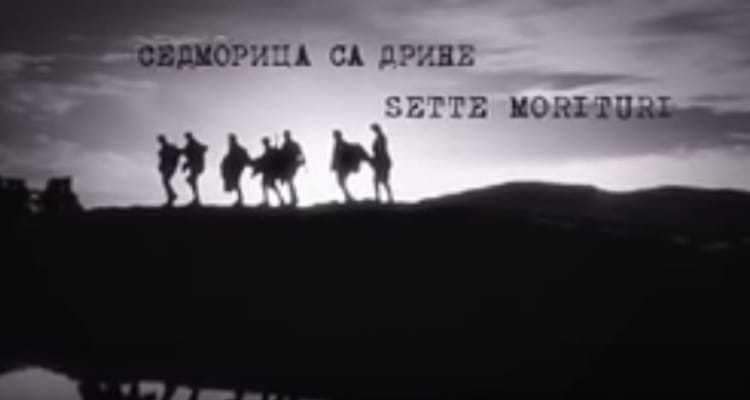 Седморица са Дрине