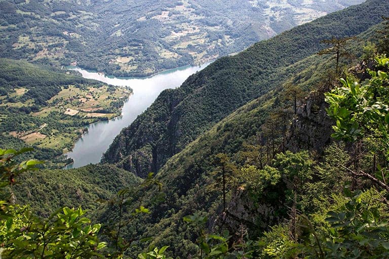 Биљешка стена на Тари, снимио Владимир Мијаиловић