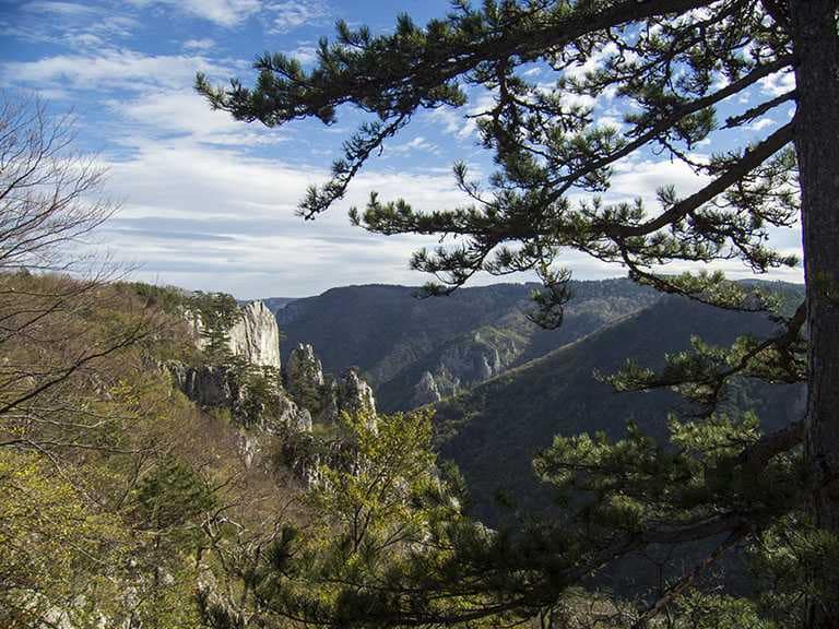 Видиковац Соколарица, Фото: Национални парк Тара